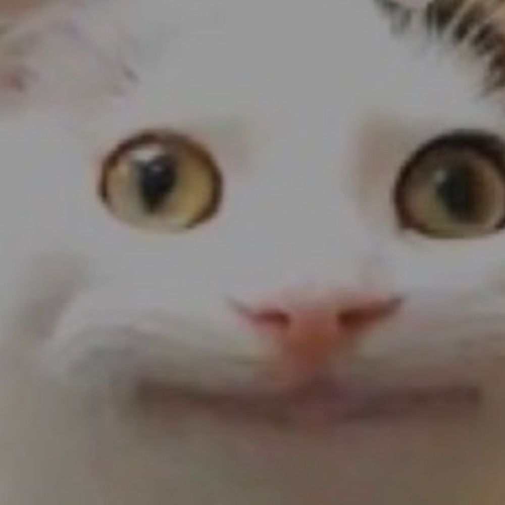 しりか