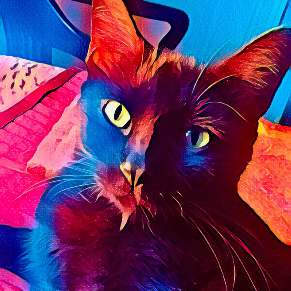 Sirius Black Cat