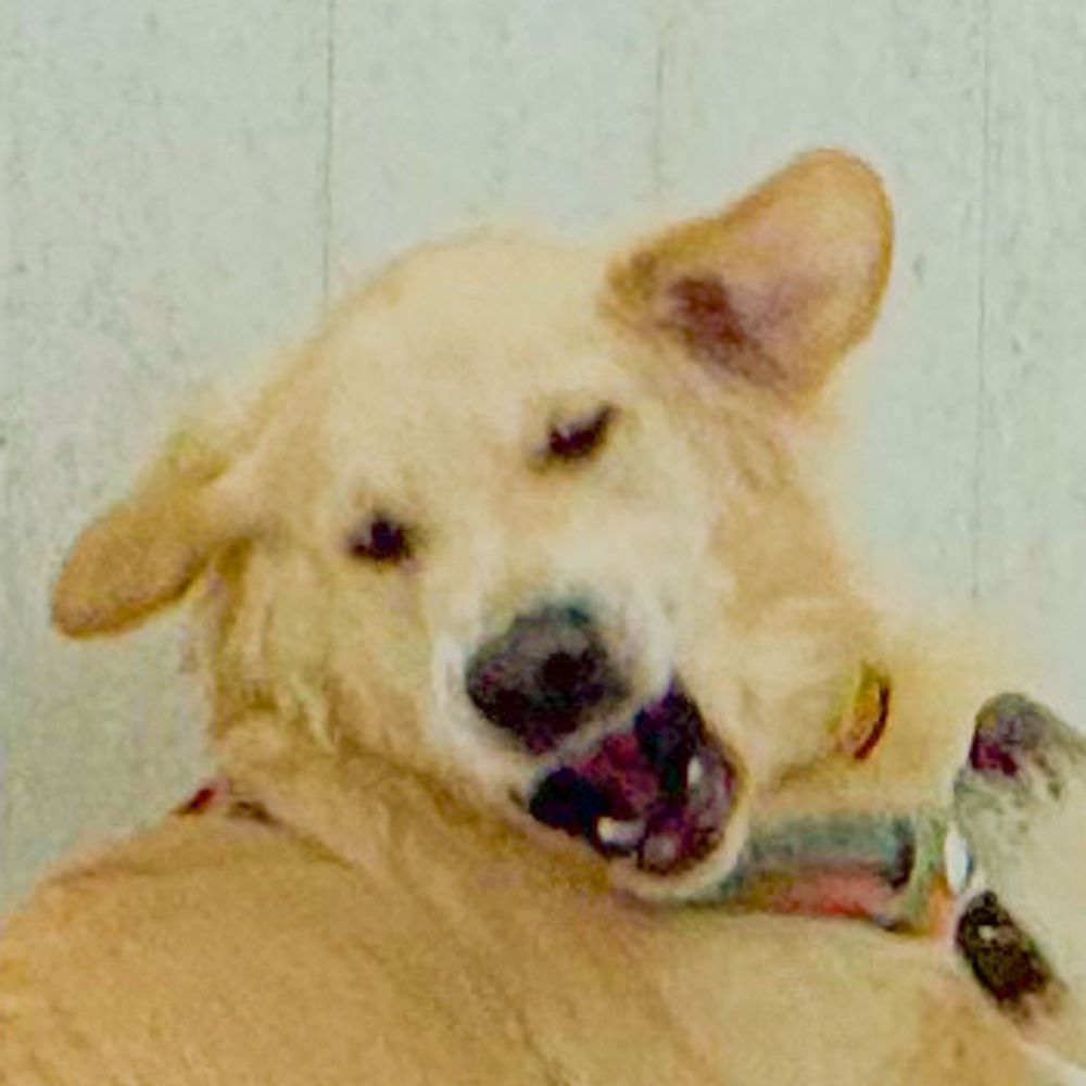 James Mac, CEO of ANTIFA