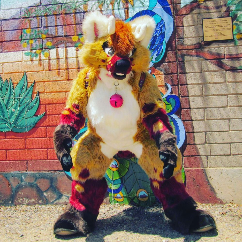 Furrin FoxDoe