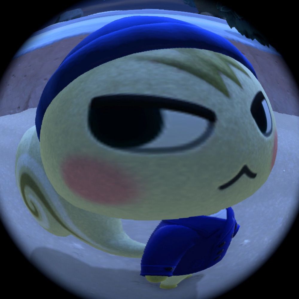 세잎클로바