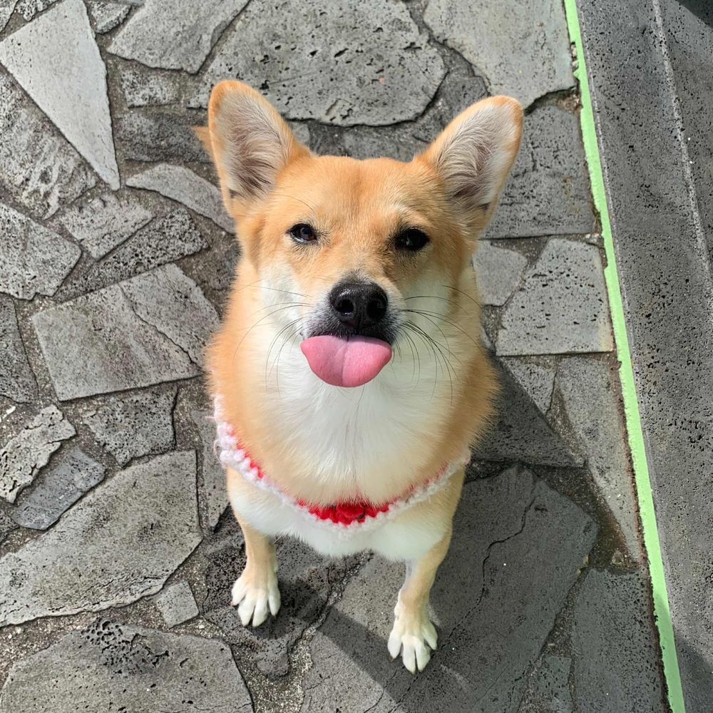 길순식