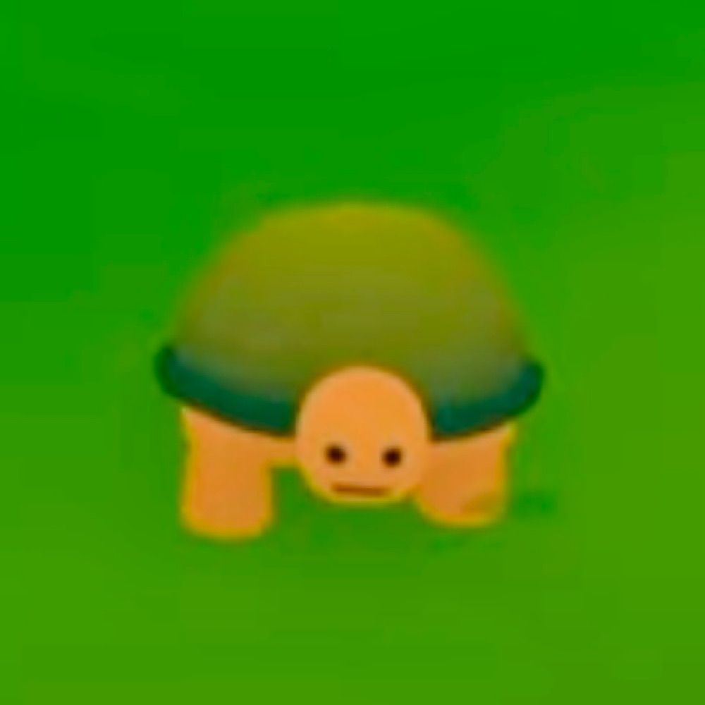 🐢