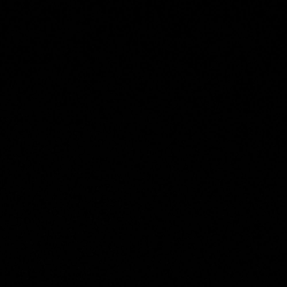 🐈‍⬛✨