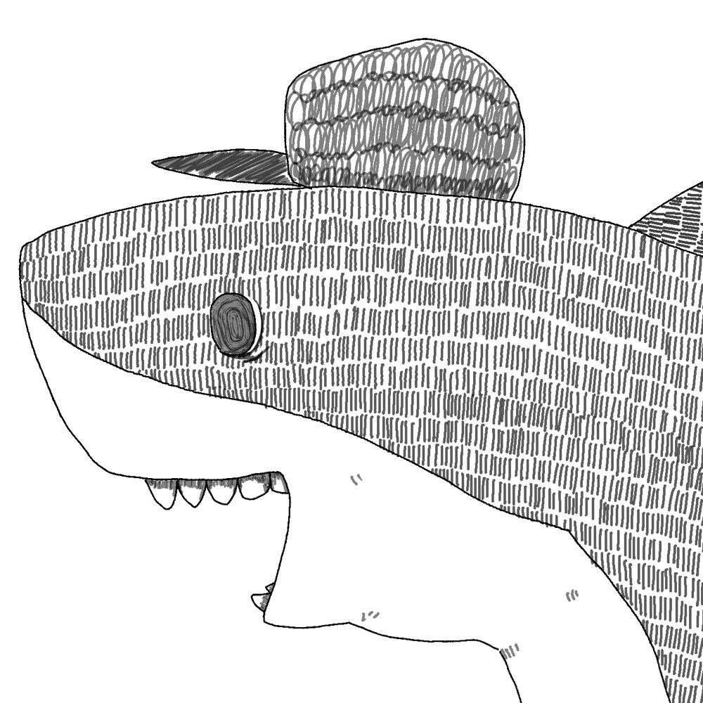 Jaw