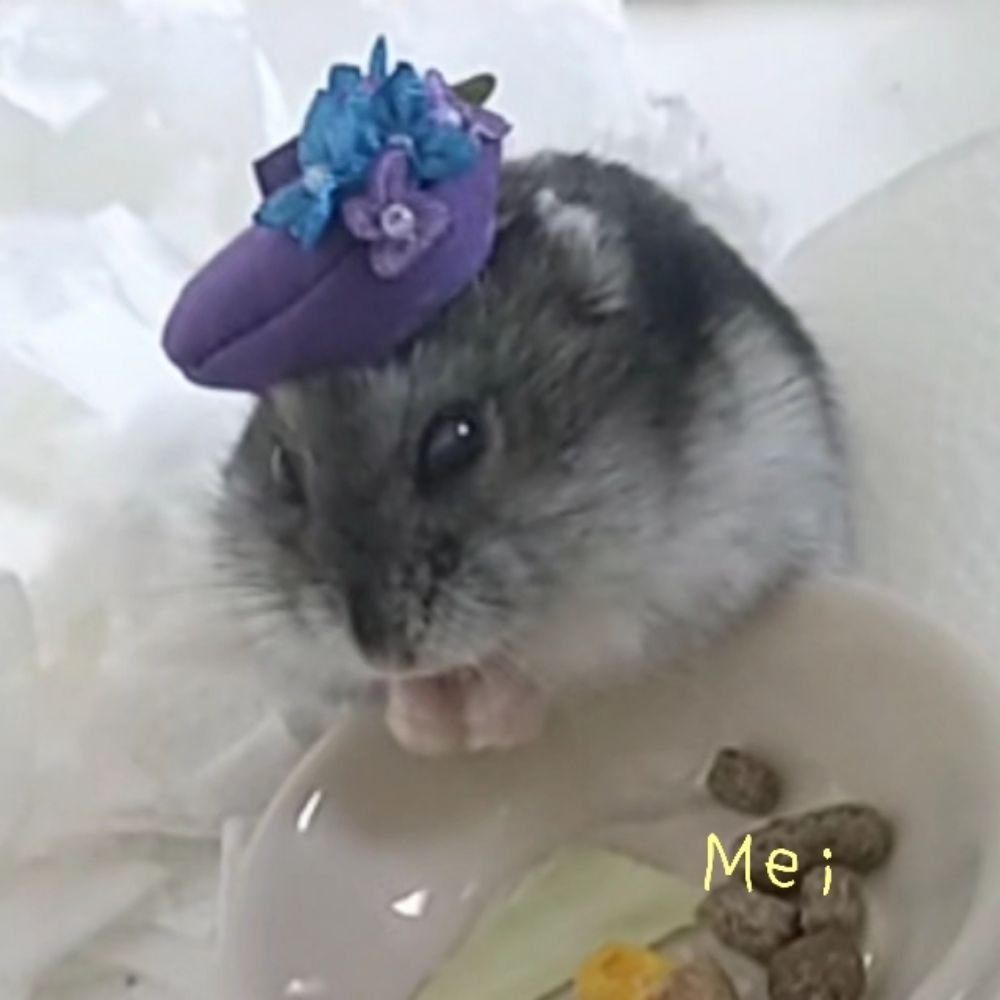 えいち