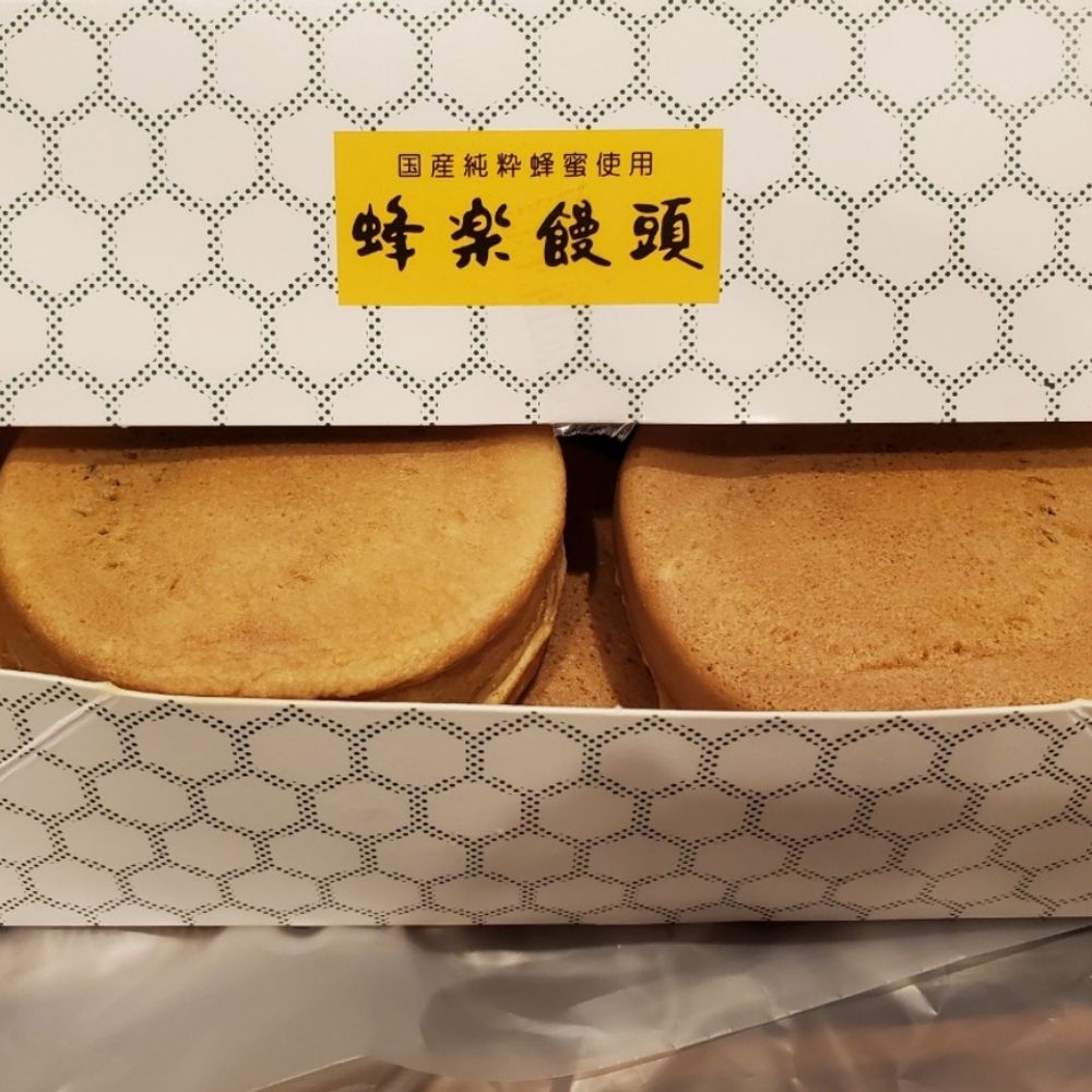 ドリームはやとの風