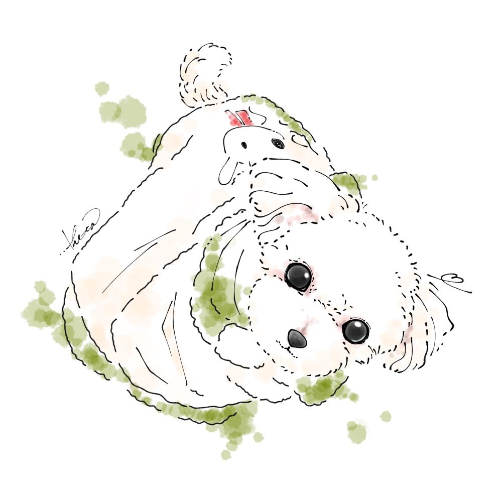 Sugar