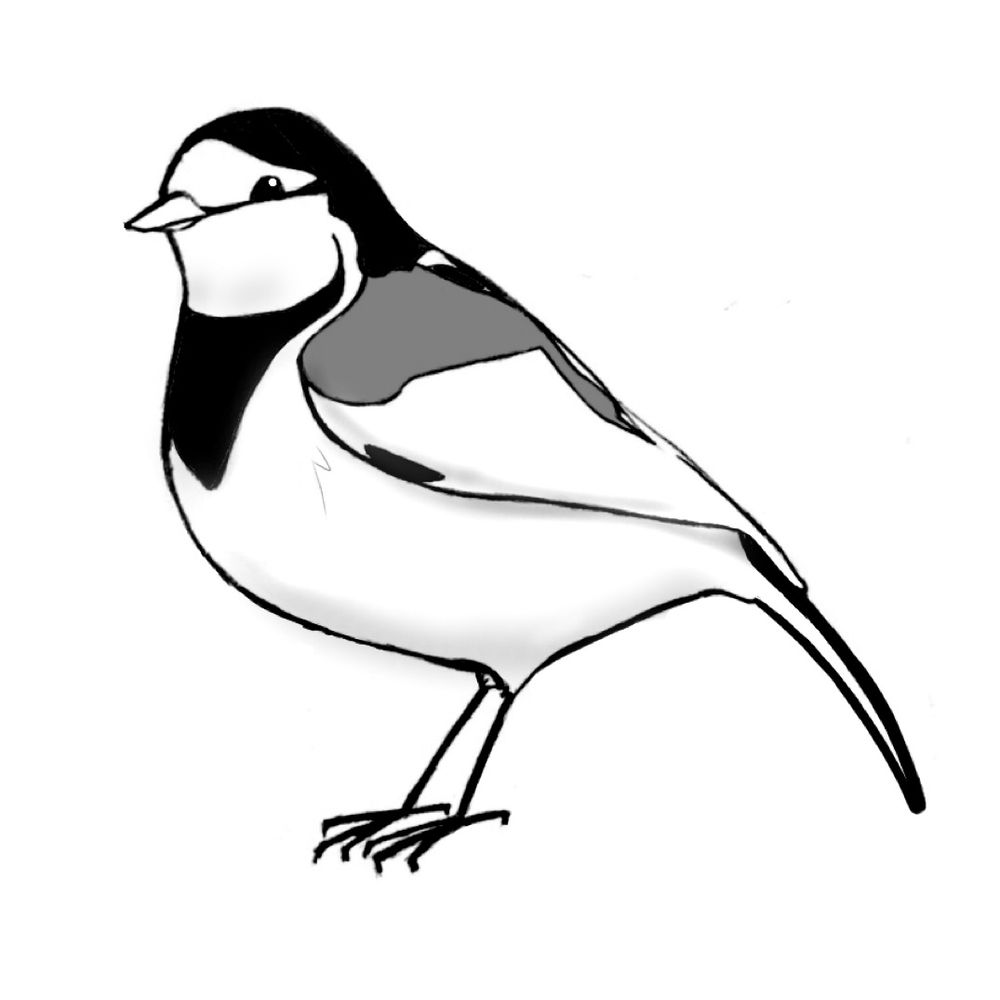 さおりん𓅫