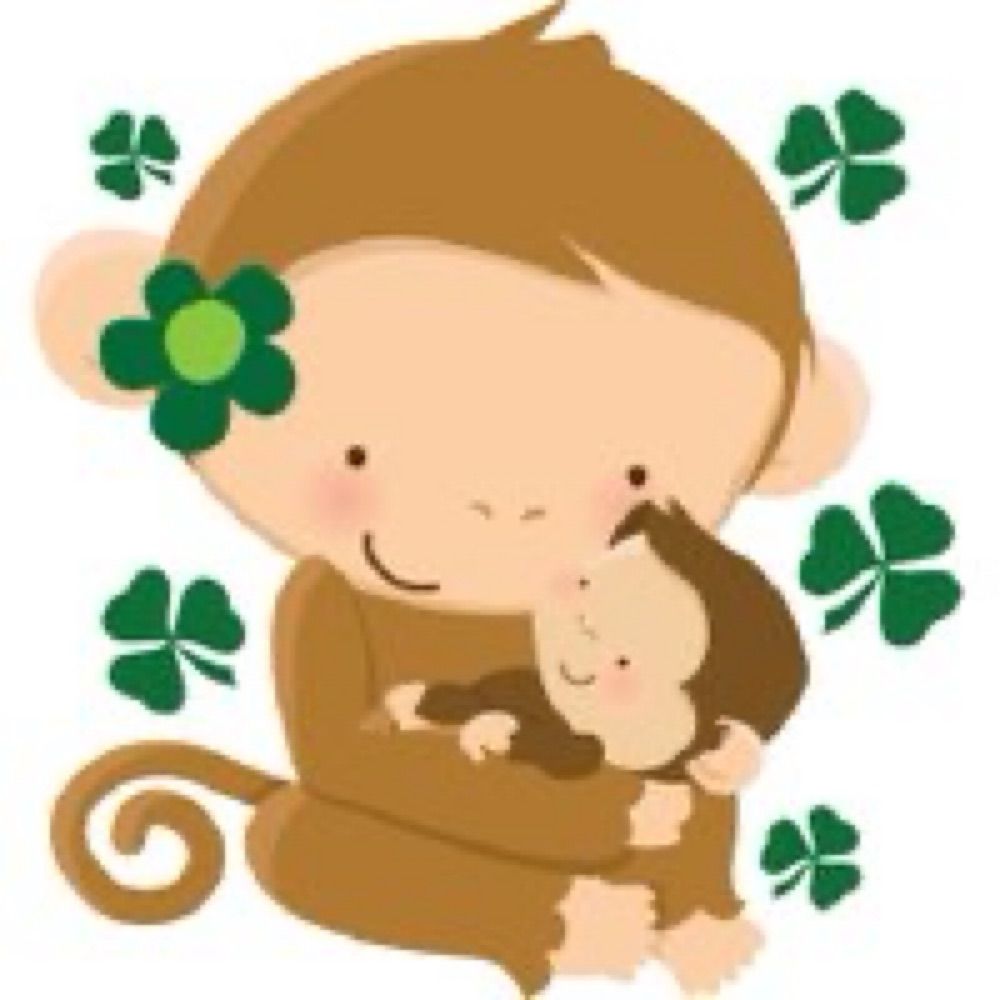 SillyIrishMonkeys
