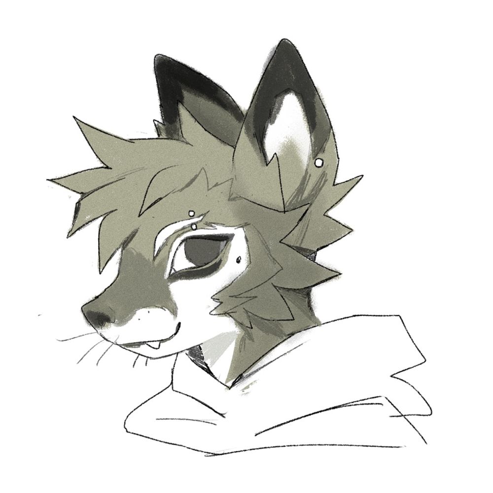 Konos Fox