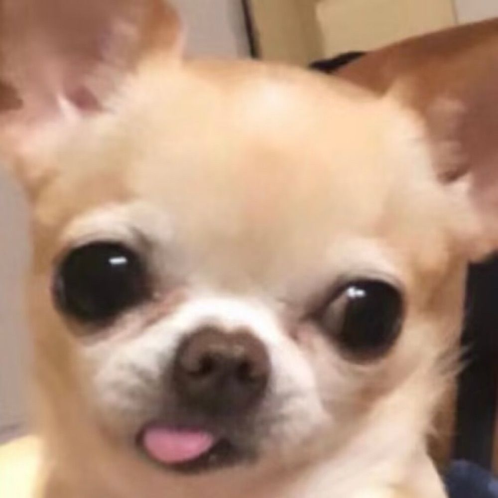 BerlinSzeto