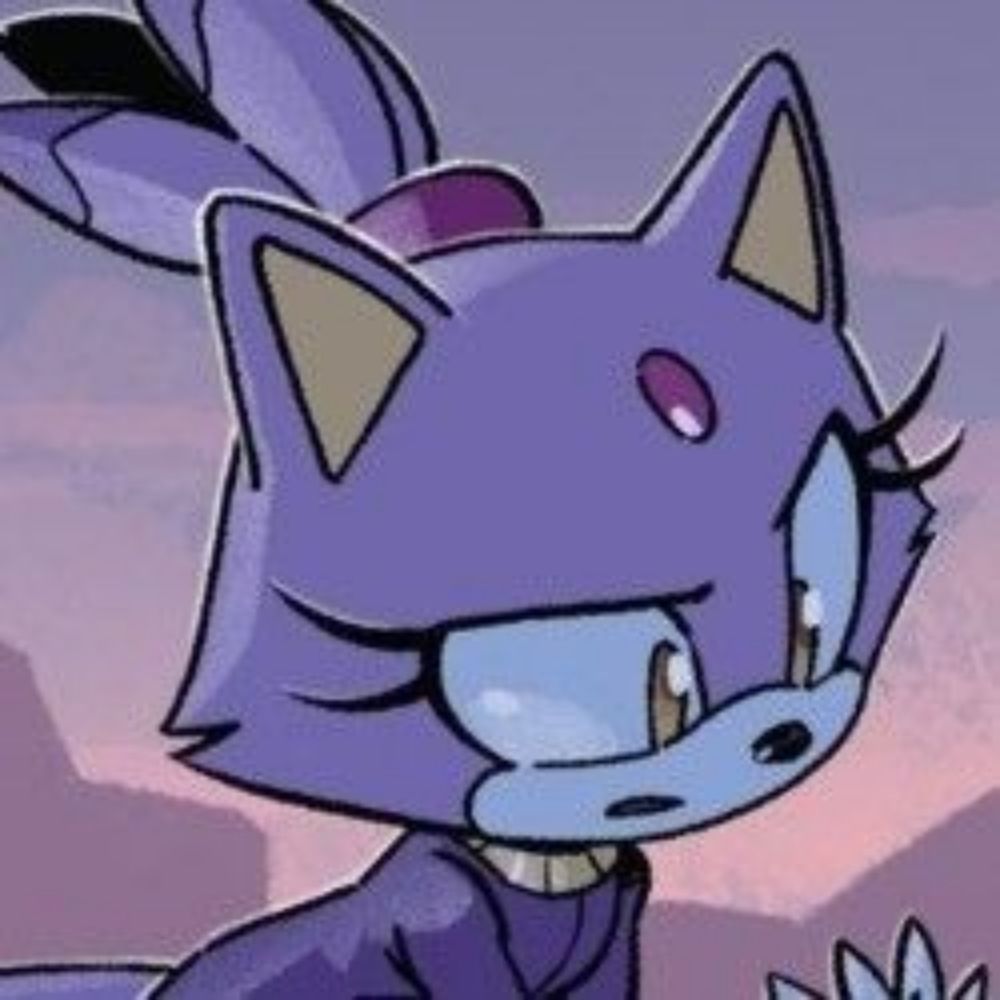 marcy