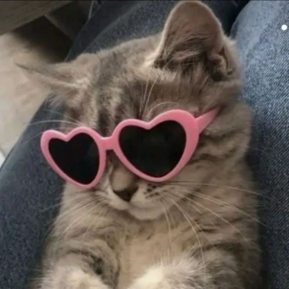 nandinha
