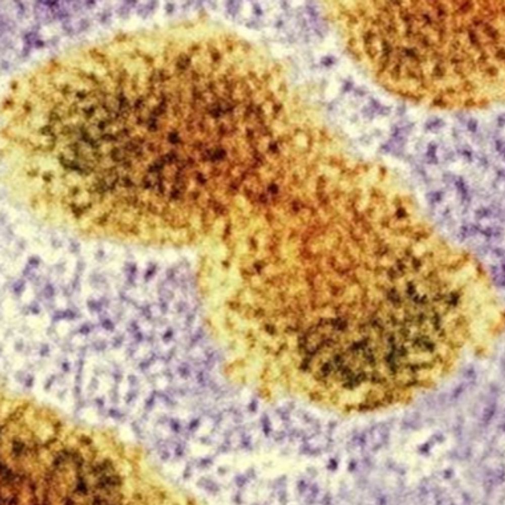 H5N1Toolbox.com