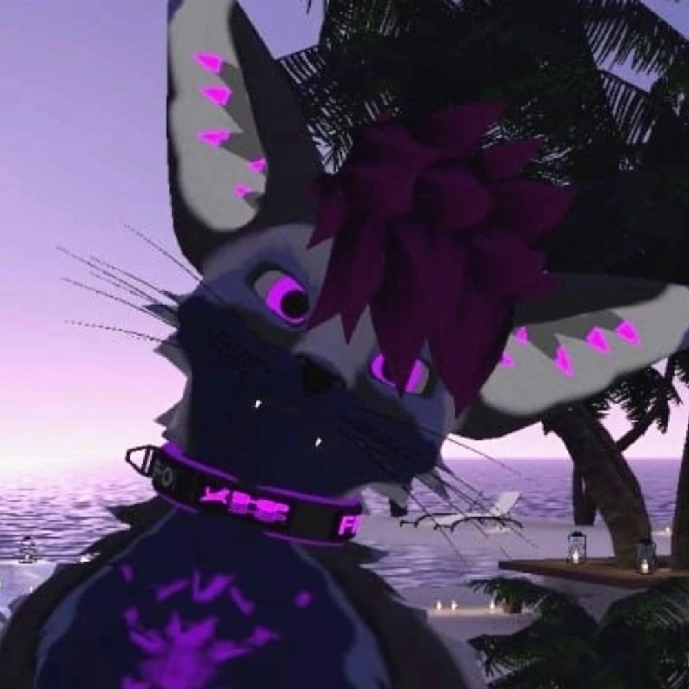 FinMcFlyWolf