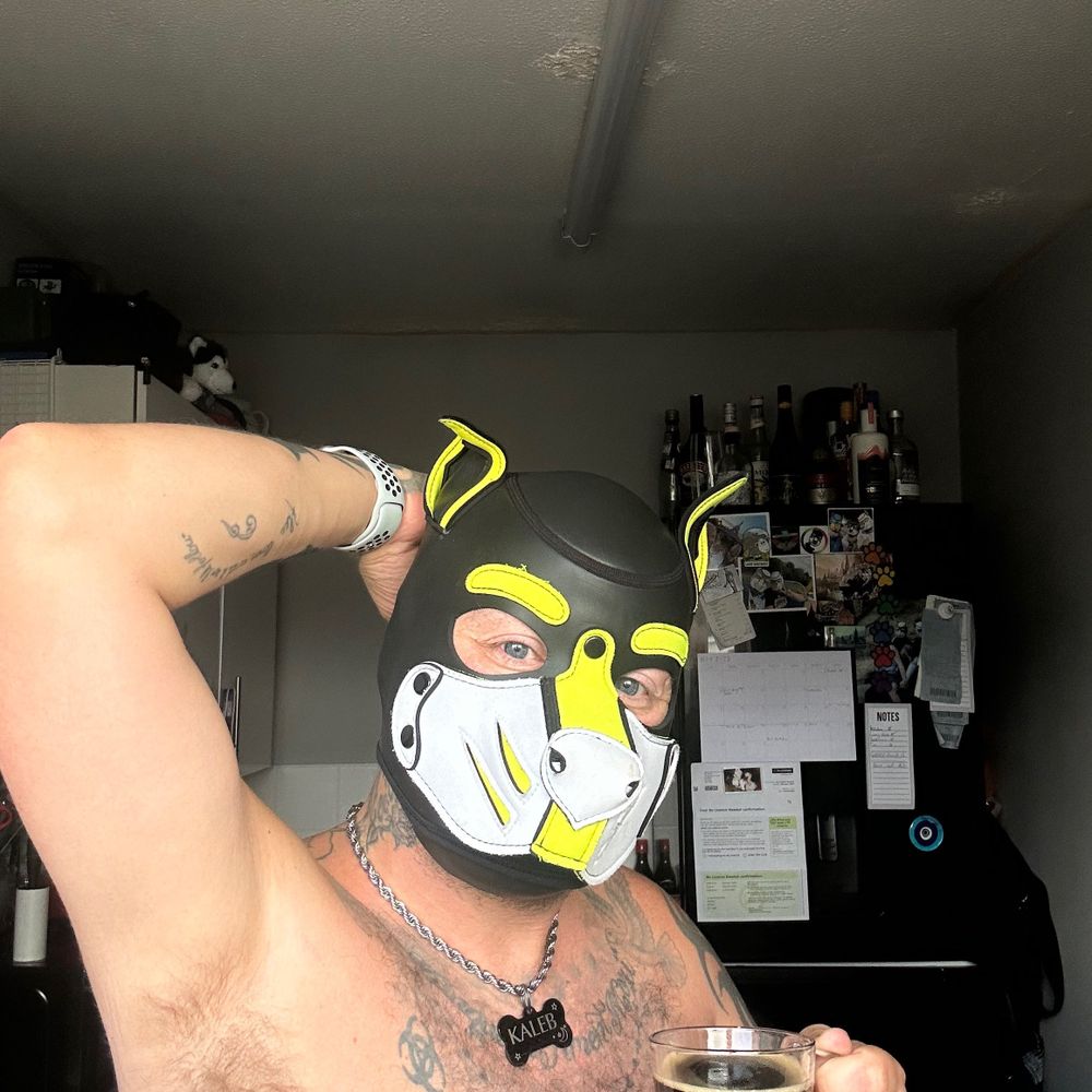 Puppy Kaleb