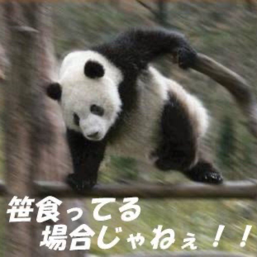 バハムック🍙