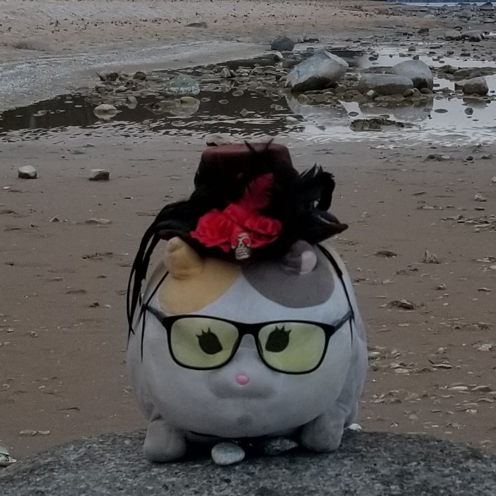 Fatto Catto