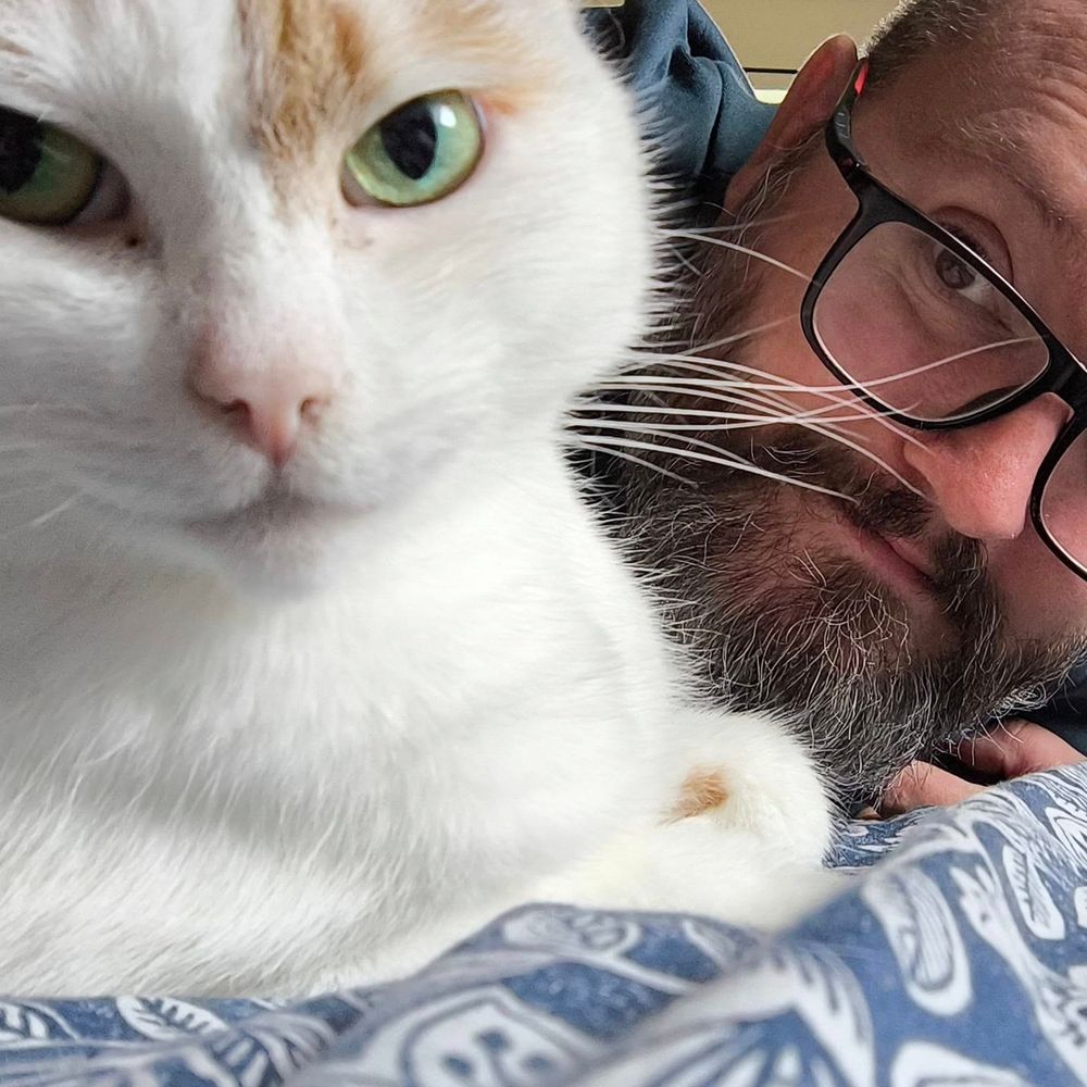 Irregular catdad