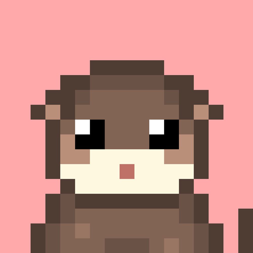 stackotter