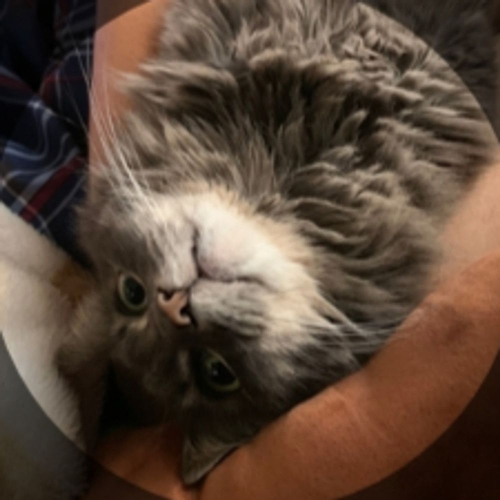 dan