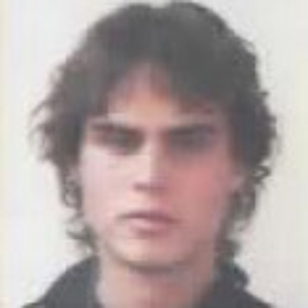 L. Faucheux