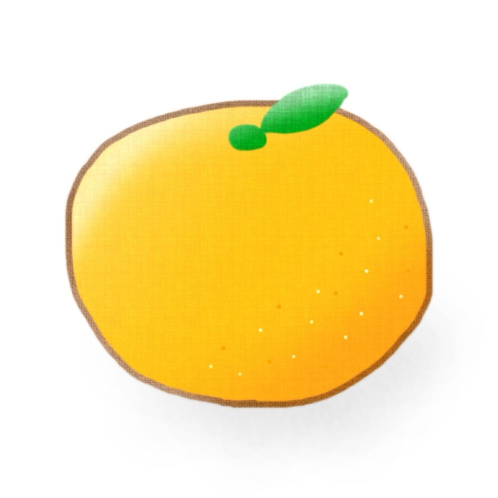 みかん🍊
