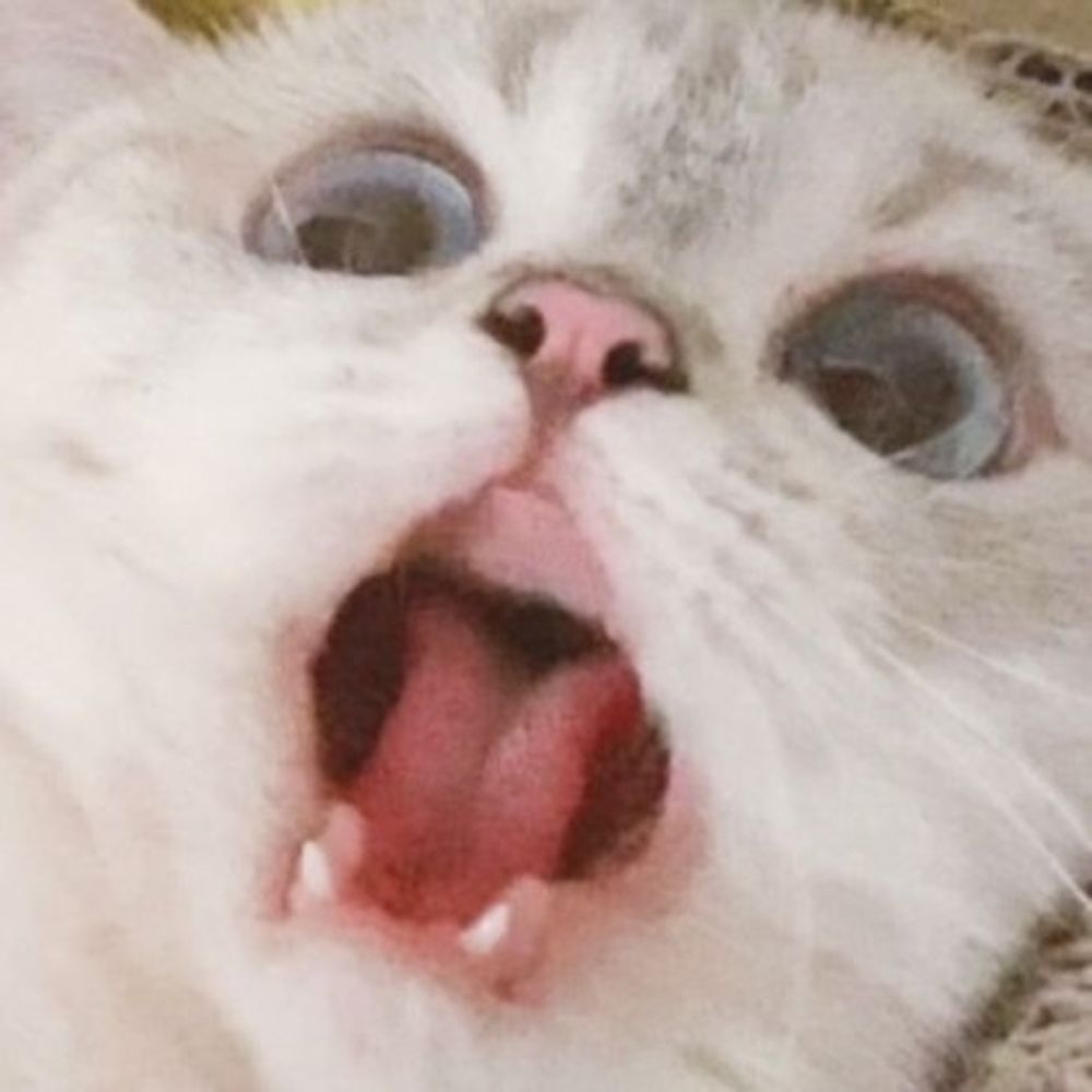PANIC