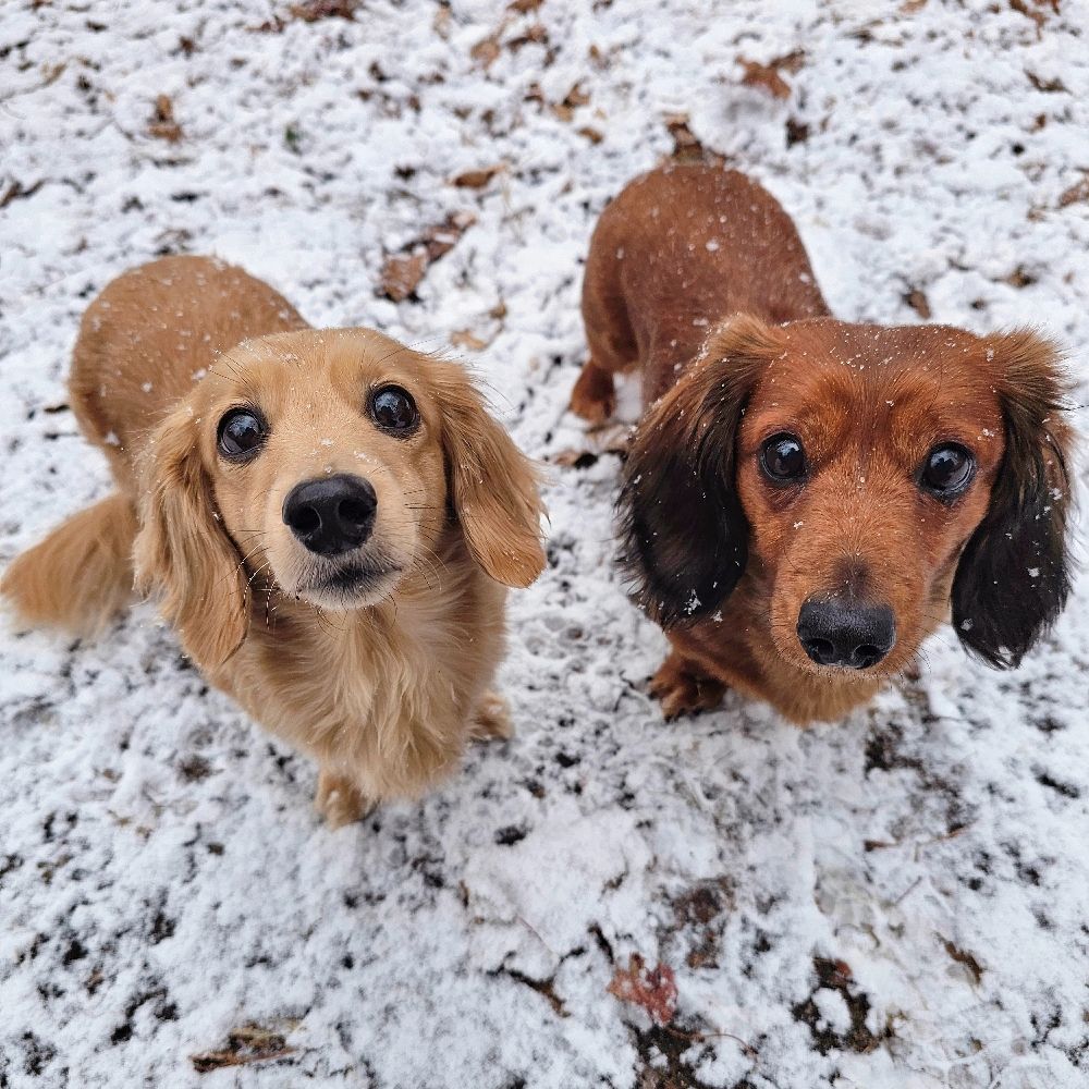 Mocha & Latte