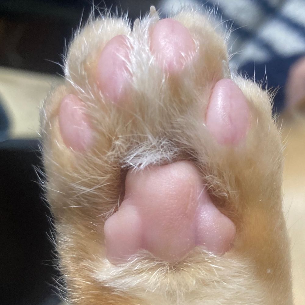 うに