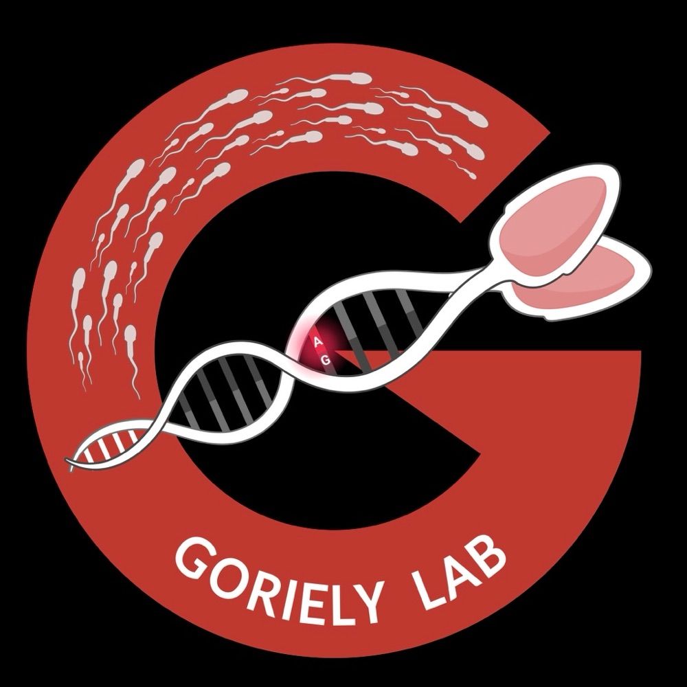 Profile picture gorielylab.bsky.social