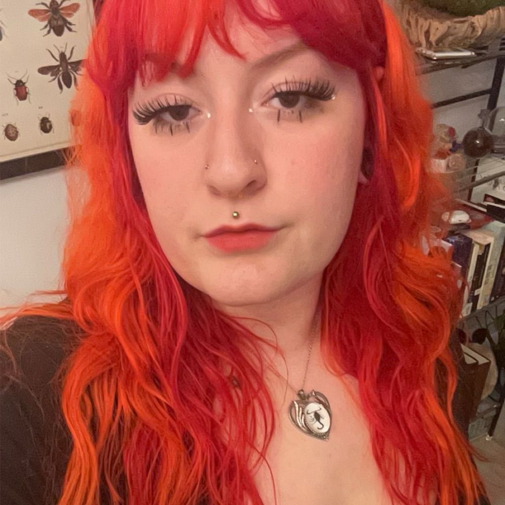 🍊