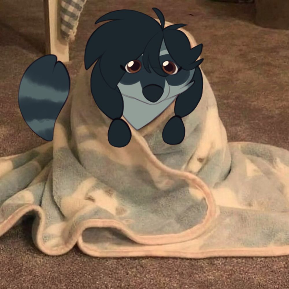 lyraraccoonchubby.bsky.social profile picture