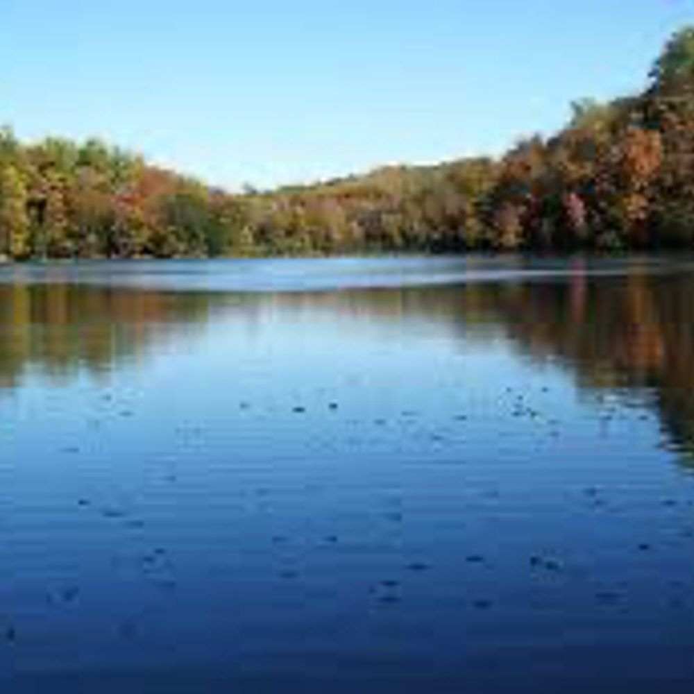 firedoglake