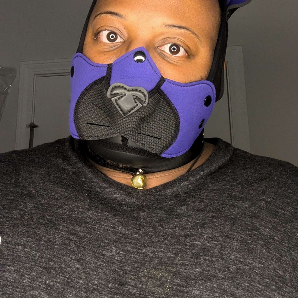 Nyx Allocer 🔜 World Pride, Anthrocon, Megaplex, MiR