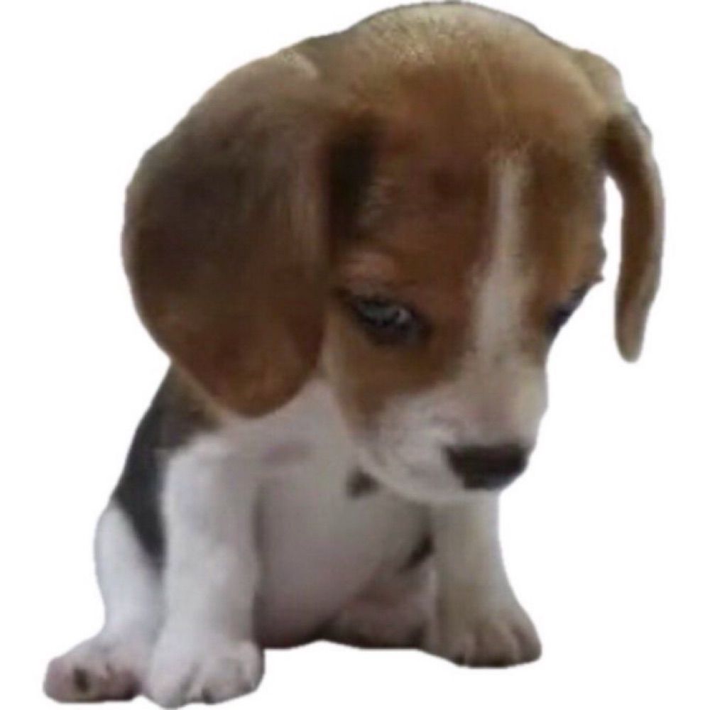 Depiny
