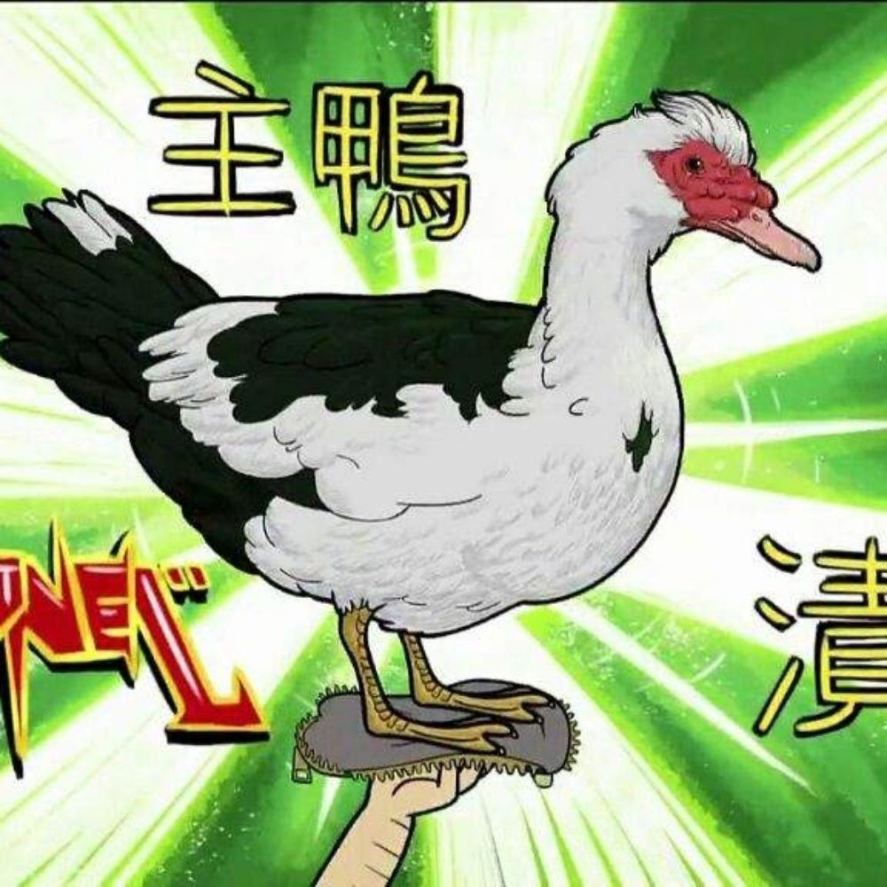 Gesonel