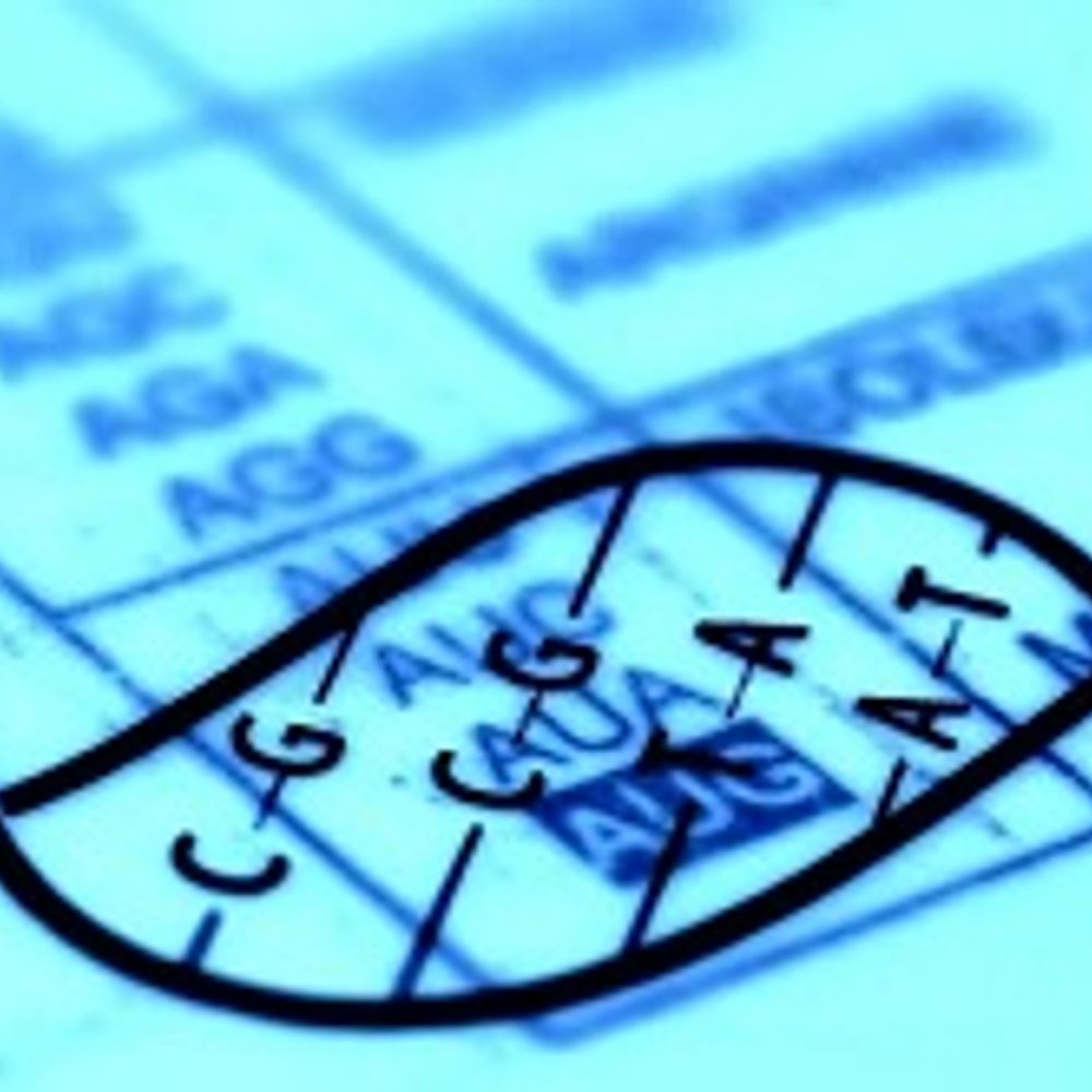 Bioinformatics Core