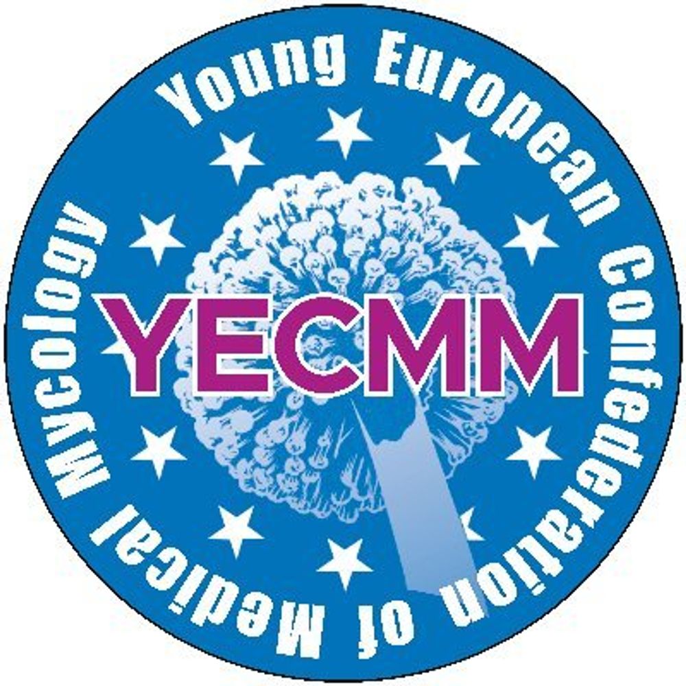 Y-ECMM