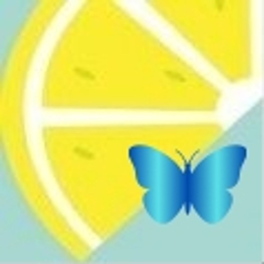 れもんぴーる（レモンの皮）🍋