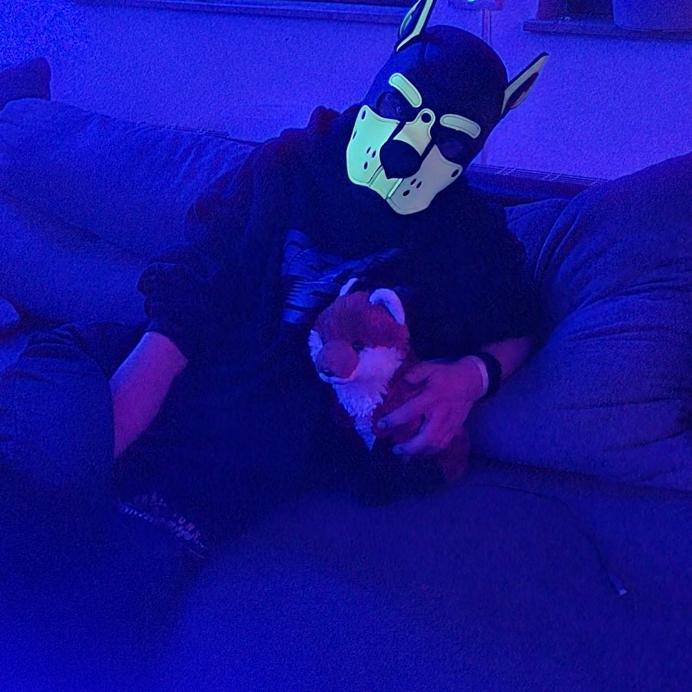 Pup Paco