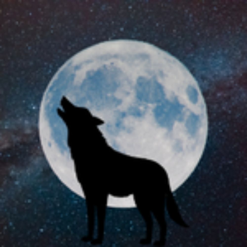 Galacticmoonwolf
