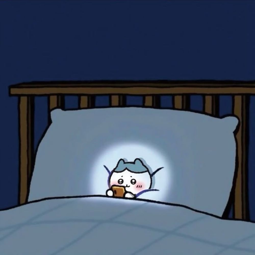 꼬들