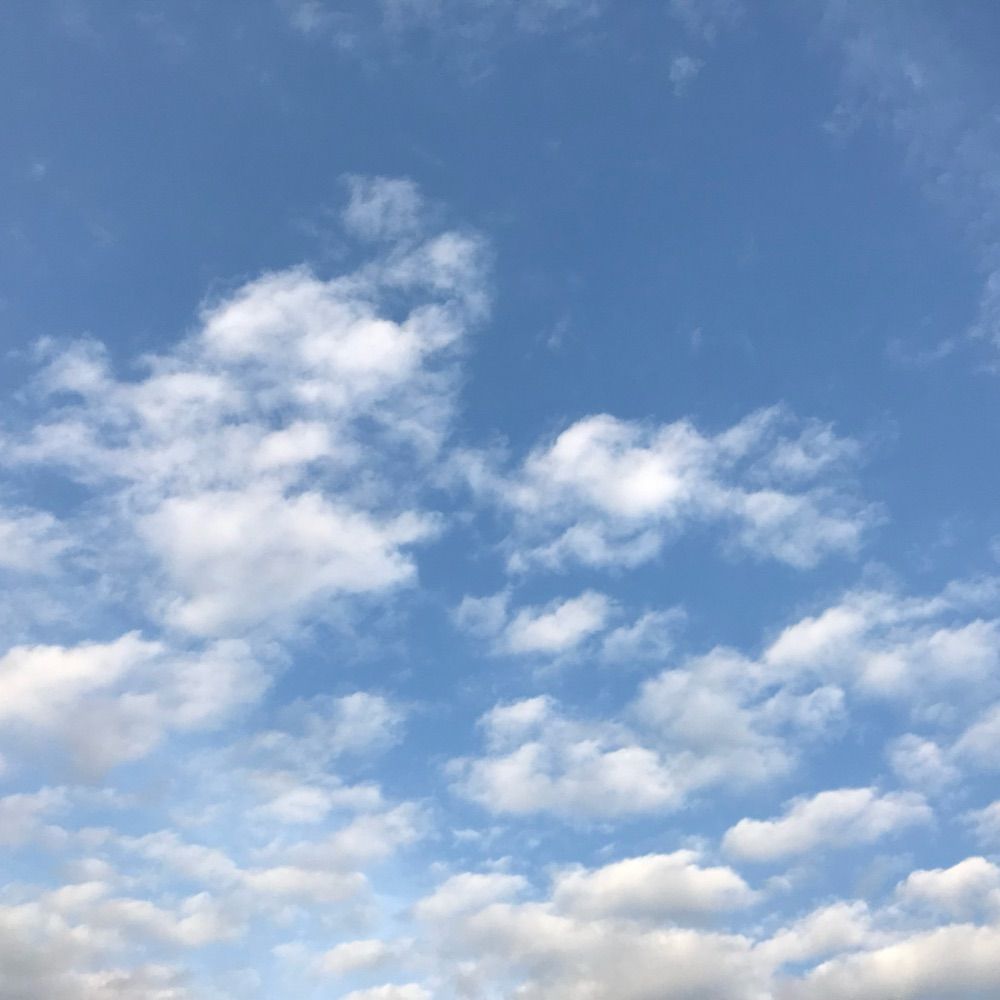 マイヤーk
