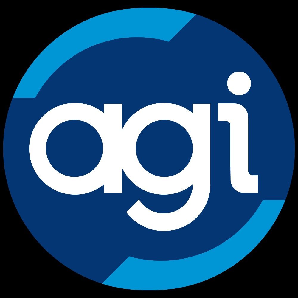 American-German Institute