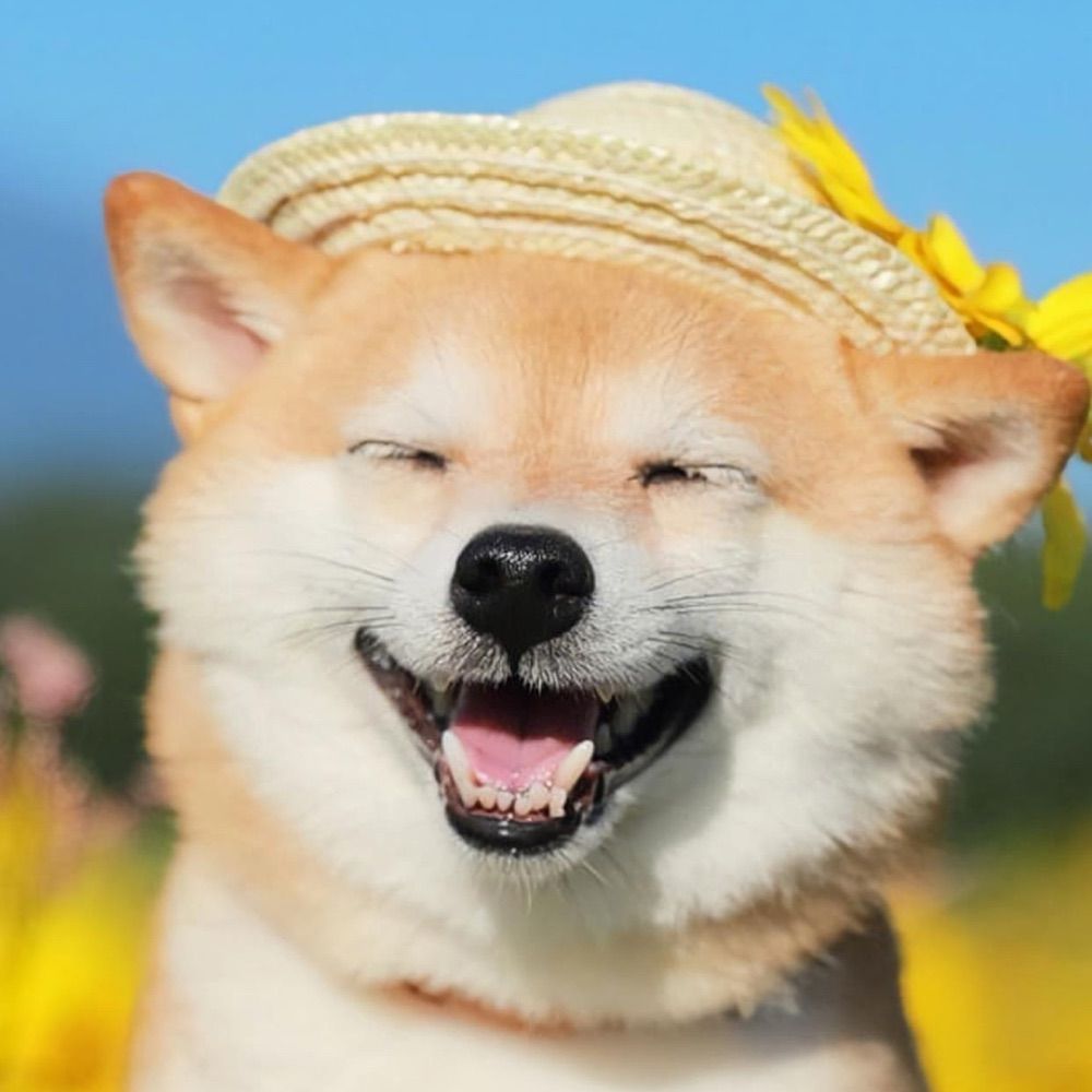 Sam