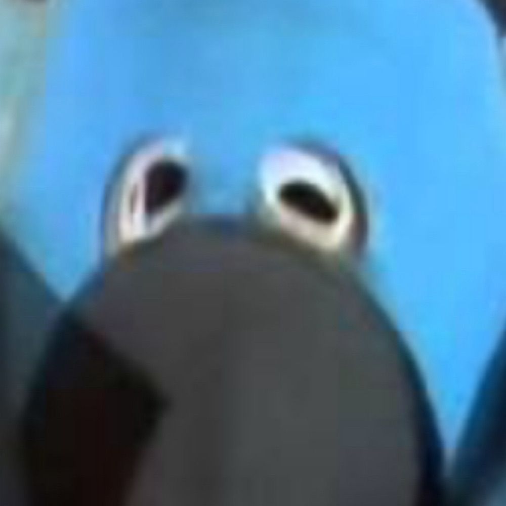 Super Womble