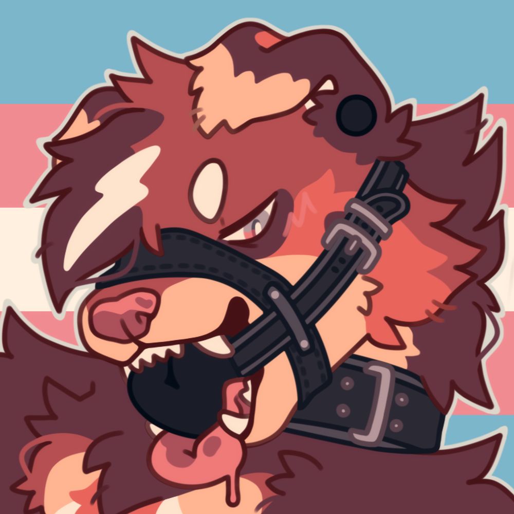 🔞 子犬 🔞
