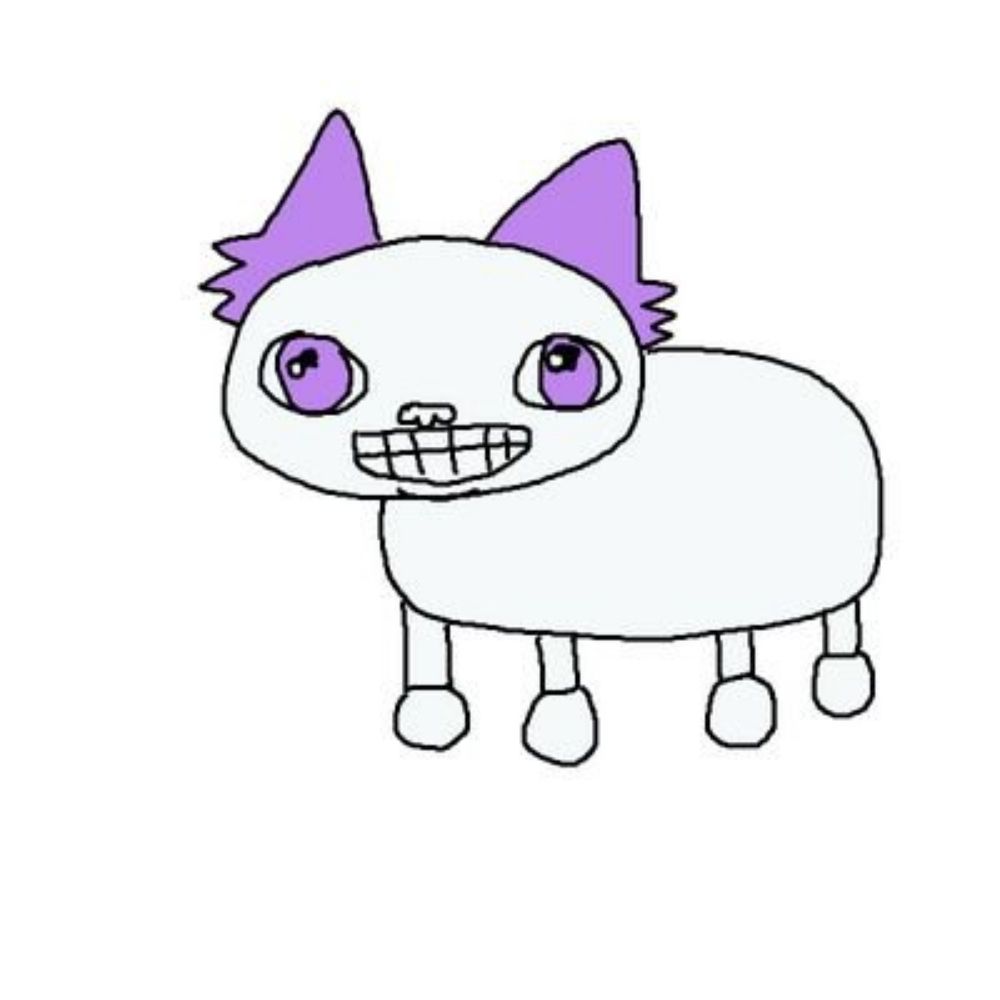 오너